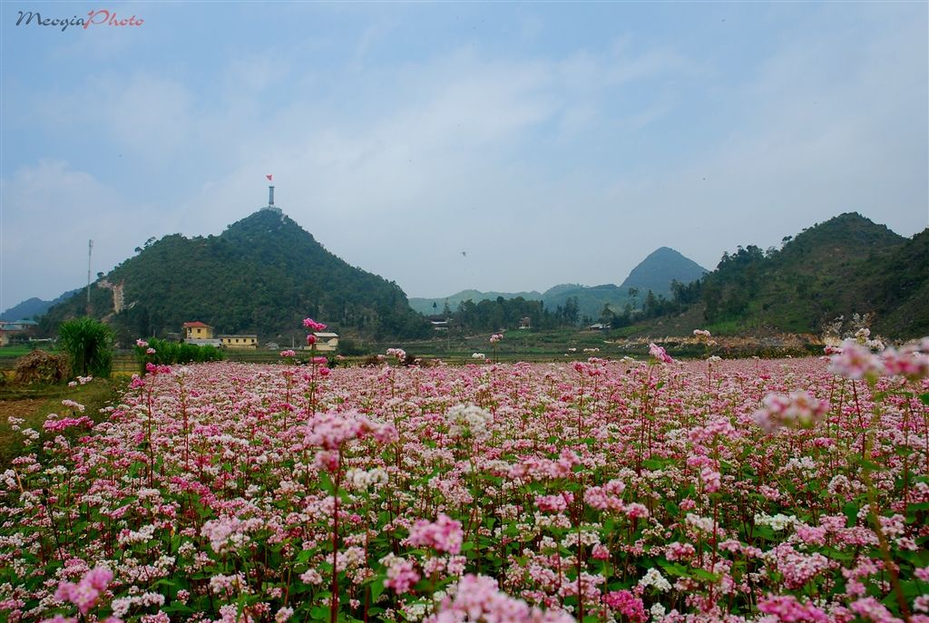 [Image: hg_zps628df917.jpg]