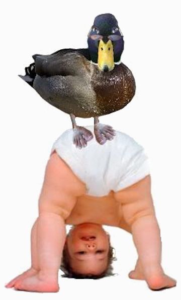 babywithduckonbutt.jpg
