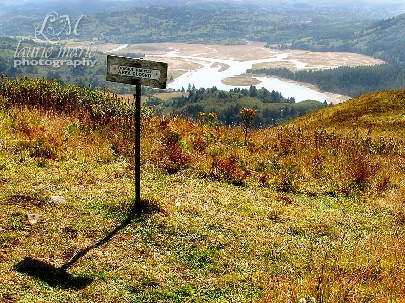 Cascade Head Fragile Habitat