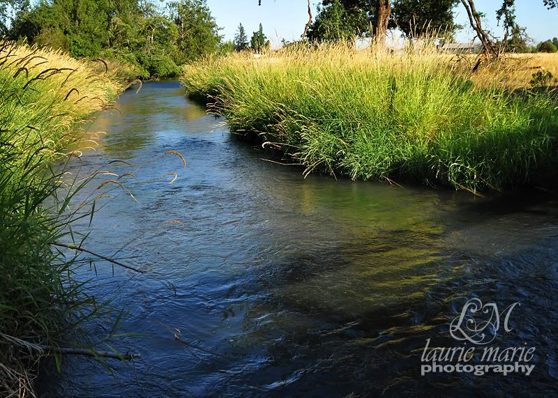 Stream