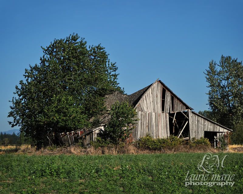 Old Barn