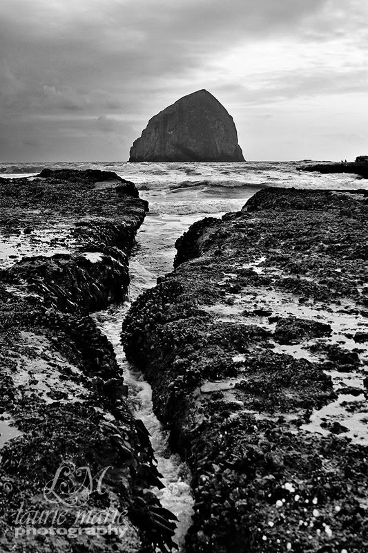 Cape Kiwanda Laurie Marie Photography