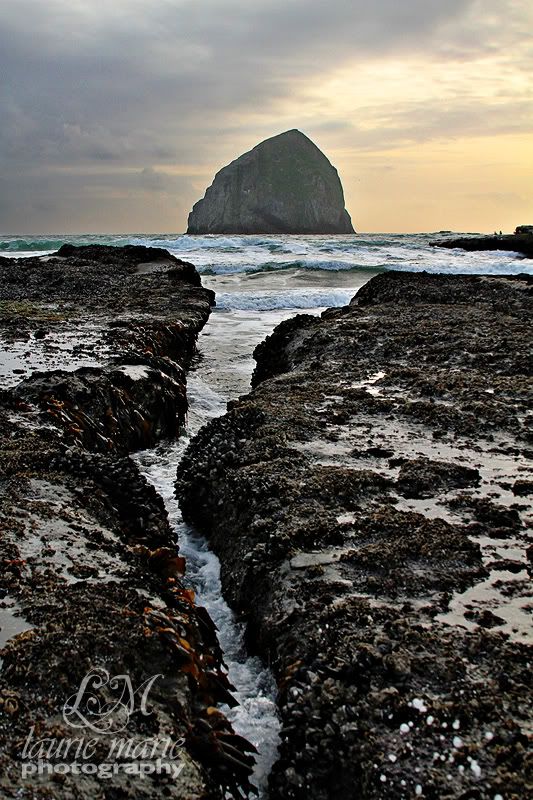 Cape Kiwanda Laurie Marie Photography