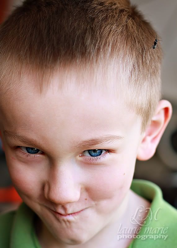 Smirk,Salem OR Child Photographer,Laurie Marie Photography