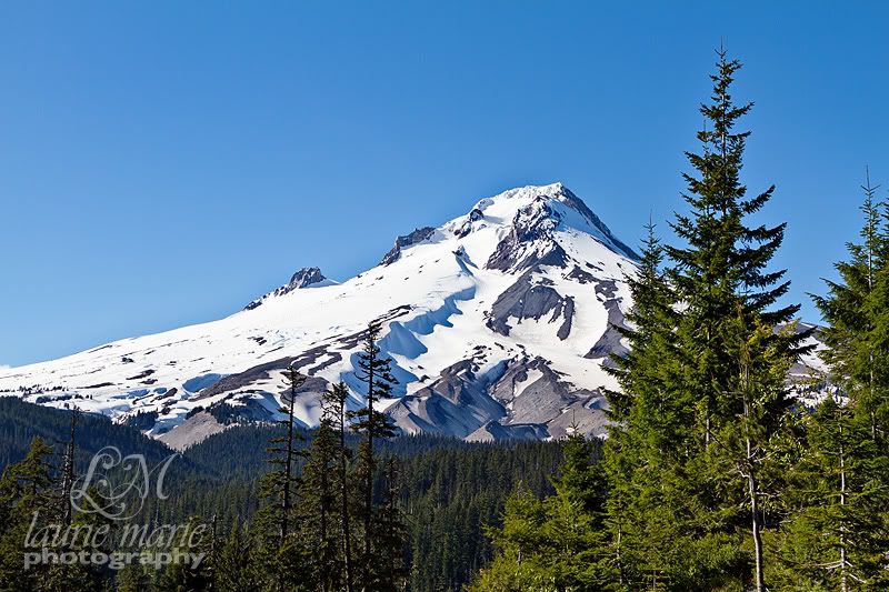 Mt Hood