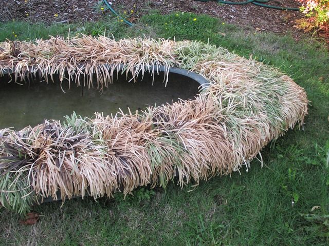 synthetic raffia grass