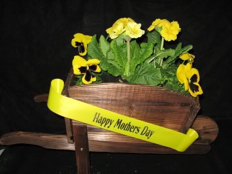 smallmothersdaybarrow.jpg