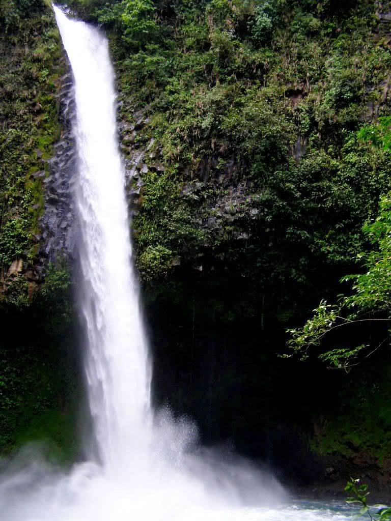 Trip95.jpg