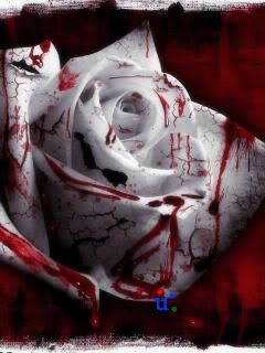 Bleeding Flower