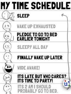 Funny pics My Daily Schedule