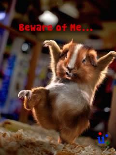 Funny  Beware of Me