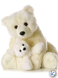 Mother picture Ma Bear and her cute Cub