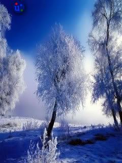 Winter image