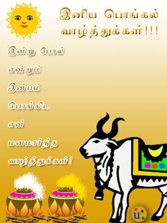 Pongal image