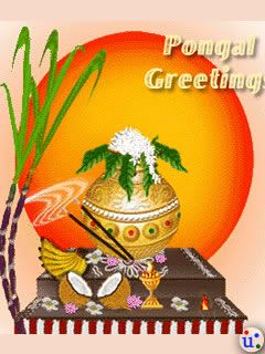 Pongal wallpaper Boiling Fresh Milk