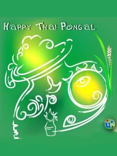 Pongal picture Pongal Celebration