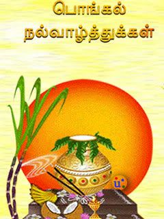 Pongal picture