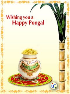 Pongal wallpaper