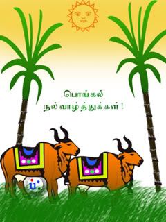 Pongal pics