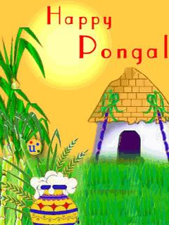 Pongal wallpaper