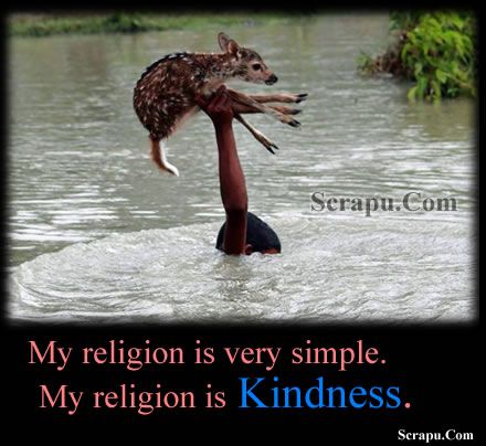 Love Animal  My religion is very simple. My religion is kindness.