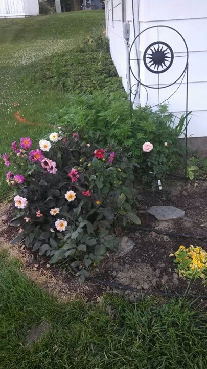  photo IMG_246345077268678_zps1t3kathy.jpeg