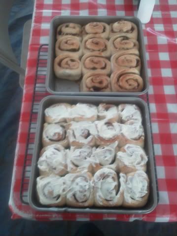 cinnamonrollswilderness-1.jpg