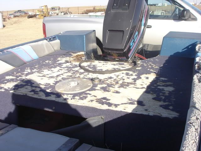 DSC02023.jpg