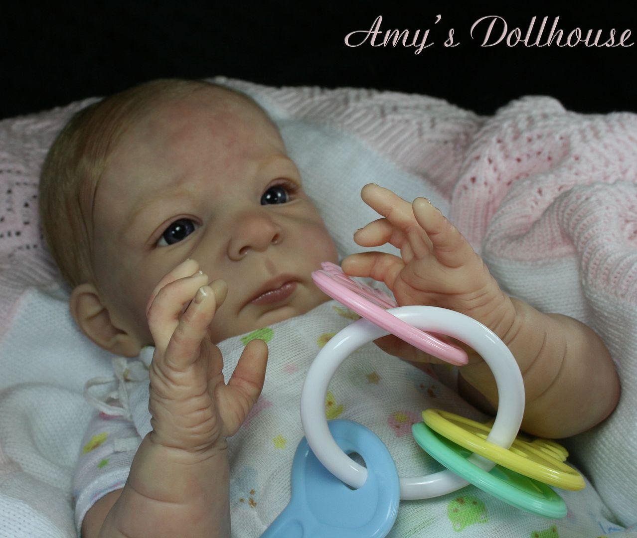 Amy S Dollhouse Lifelike Reborn Baby Sold Out Le O Auer Amy Mrmh