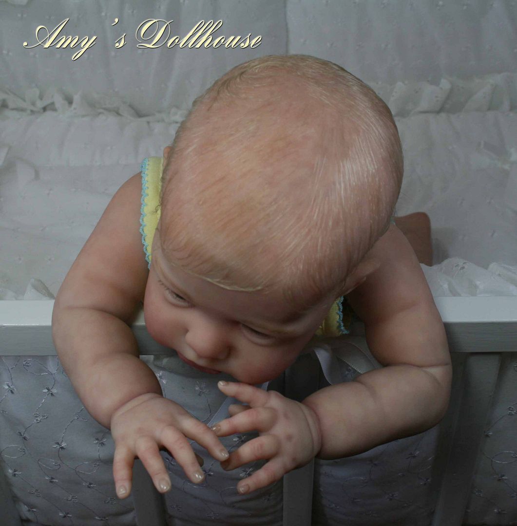 Amy's Dollhouse Lifelike Reborn Baby B. Brown"Sharlamae"MRMH Tummy