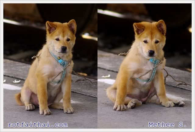 Click on the image for full size