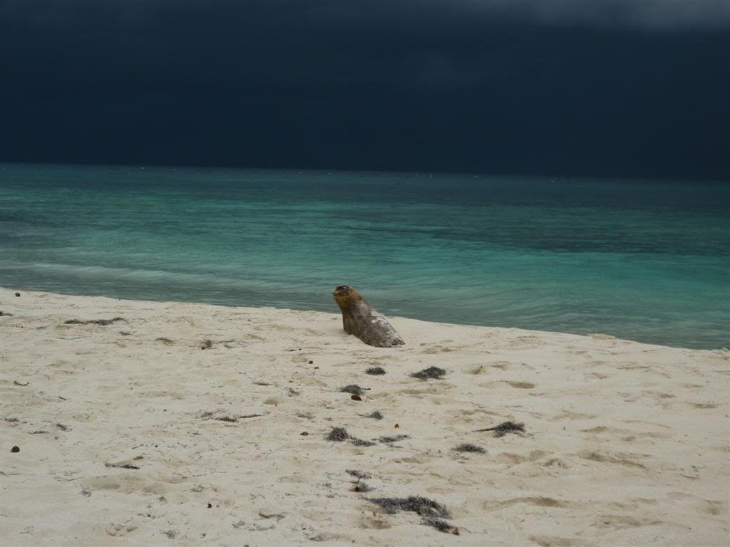 punta cana septiembre