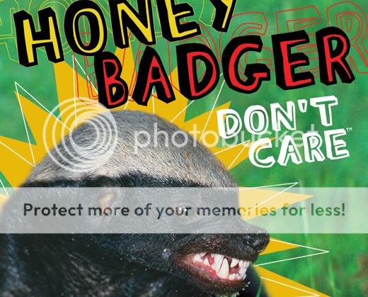 honey-badger-book.jpg